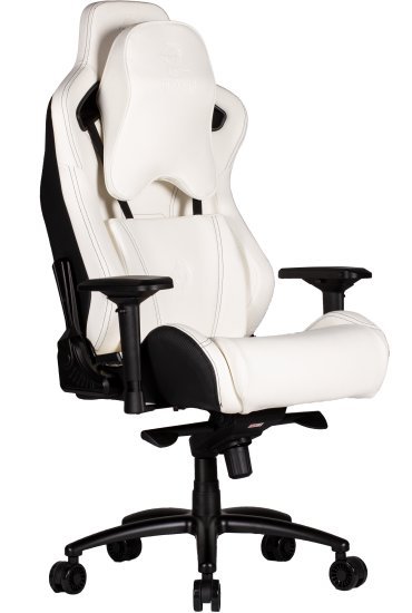 כיסא לגיימרים Dragon GT SPORT DELUX - צבע לבן