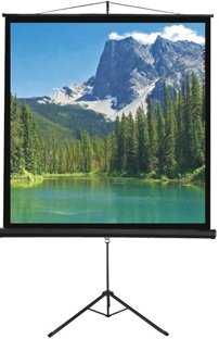 מסך חצובה למקרן 113'' 203X203 ס''מ SINOSCREEN