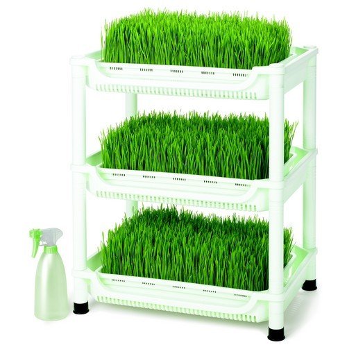 מארז מנבטות חממה מודולרי 3 קומות New Horizon SP3